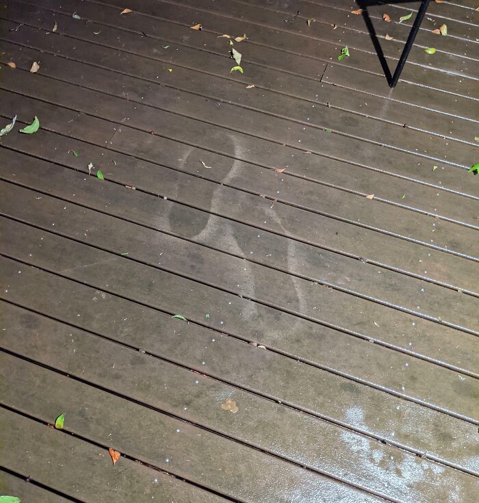 Footprints In The Middle Of My New House's Deck, No Tracks