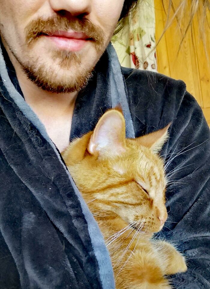 Ex Left The Cat Because It Was Mean. Look At This Absolute Monster Sleeping In My Robe This Morning