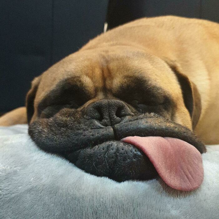 Saca la lengua mientras duerme 