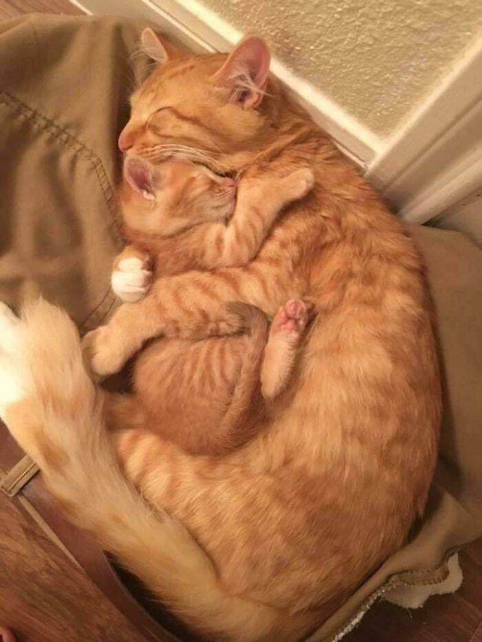 Abrazos mientras duermen 