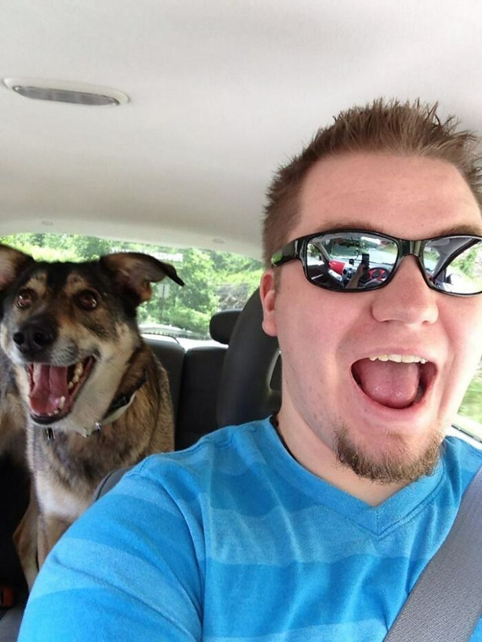 I've Been Told That Owners Look A Lot Like Their Dogs. If That's The Case Here, I'll Take It As A Compliment