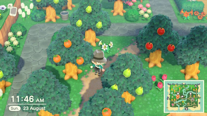 I'm Putting Desire Paths Everywhere I Don't Follow My Paths In Animal Crossing