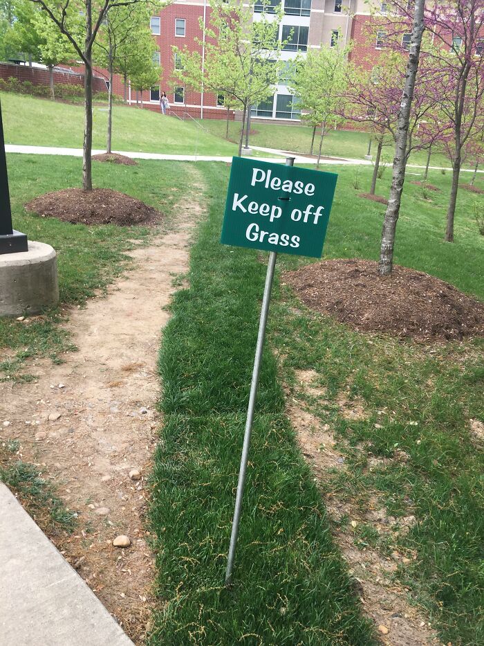 My College Put Sod On The Path And Put Up A Sign. The Students Listened To The Sign And Created A Path Next To The Sod