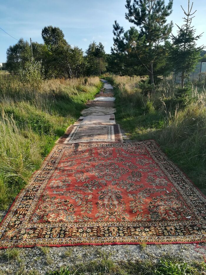Este camino en Rusia es muy deseado