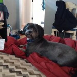 libraryleah75 avatar