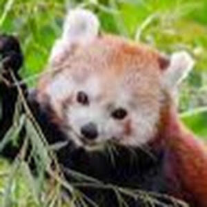 dylanjameswilliamson avatar