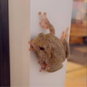 morganberry2020 avatar