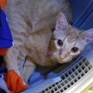 sprockethunter avatar