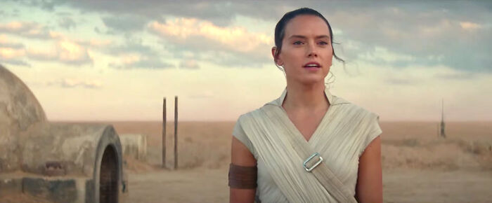 At The End Of Rise Of Skywalker Rey Proclaims That She Is Now A Skywalker Even Though She Is A Palpatine. This Is A Subtle Nod To The Fact That Never Ever Had Any F**king Idea What To Do With Her Character