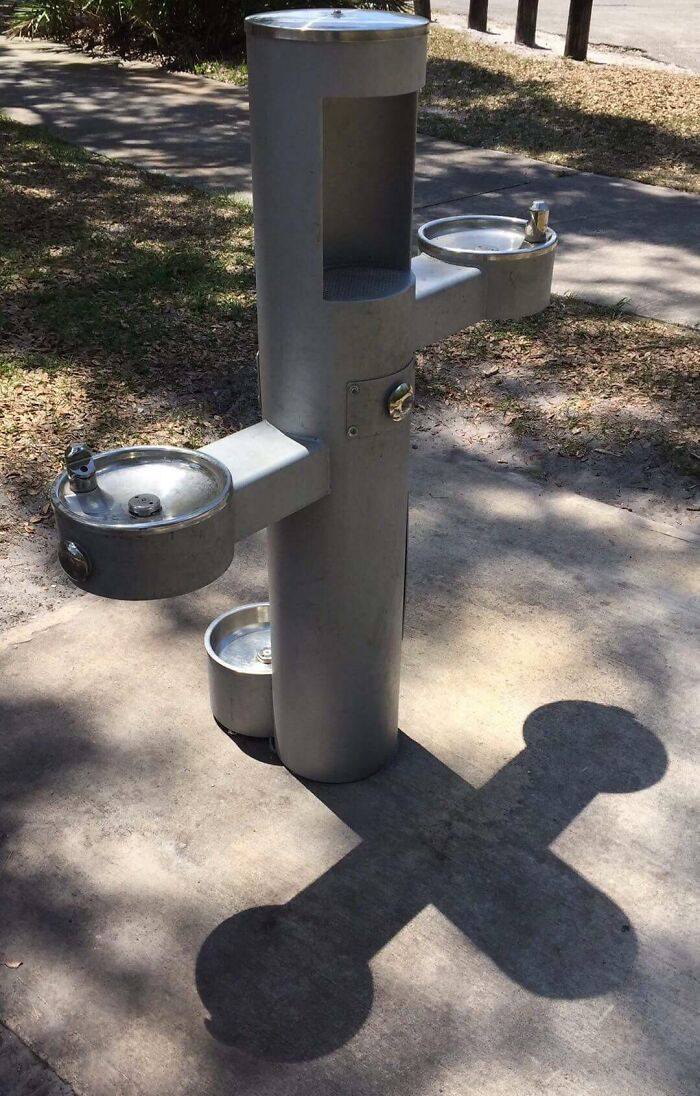 This Single Water Fountain Has A Place For Dogs, A Short Person, A Tall Person, And A Place To Fill Your Water Bottle