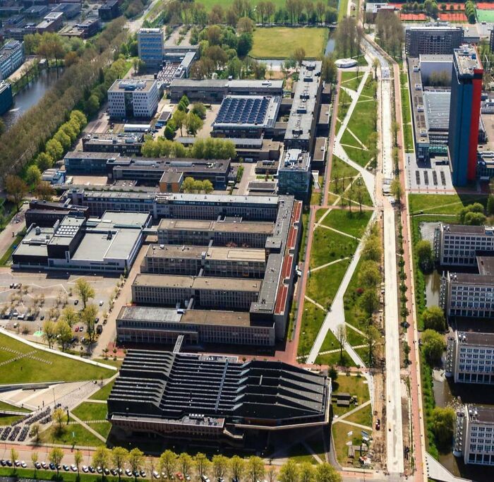 La Universidad Técnica de Delft (Países Bajos) pavimentó todos los caminos del deseo