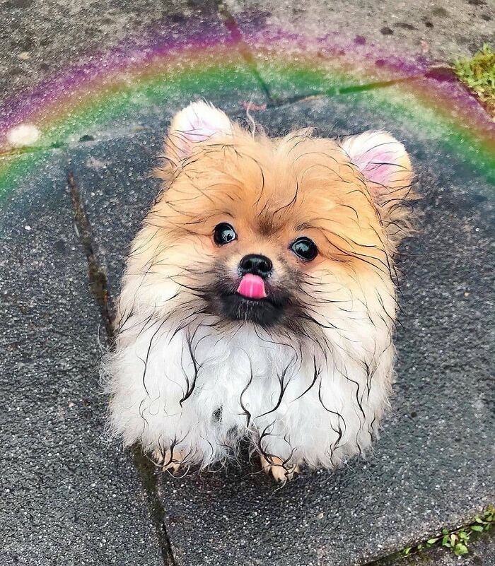 No Comments. Just Walked