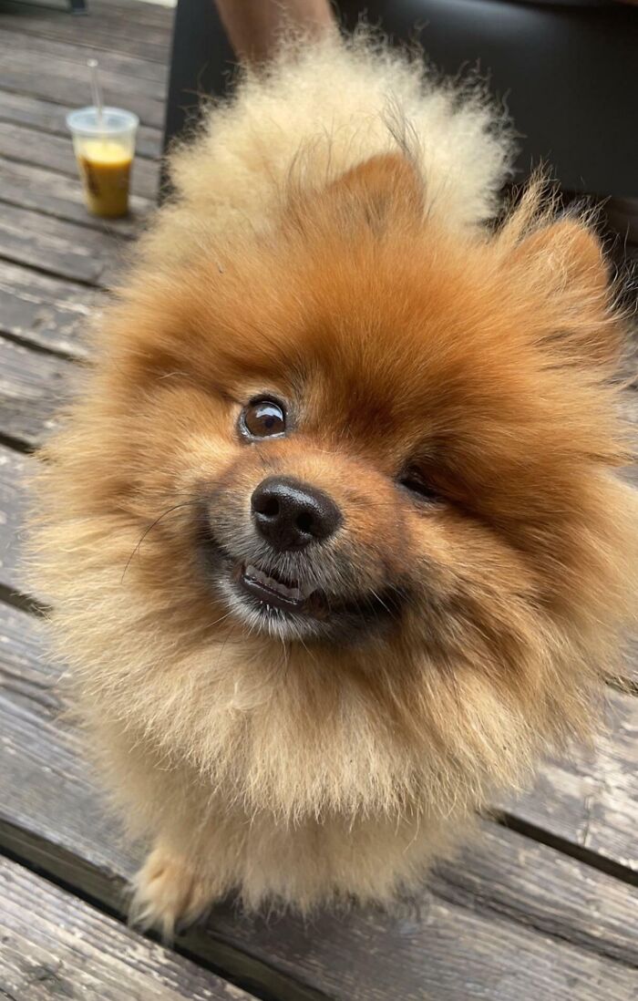 I Left My Boy For Two Months, His Face When I Returned! I Feel Loved