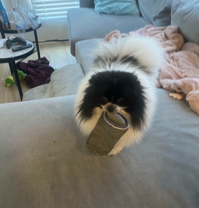 Always Taking Our Socks