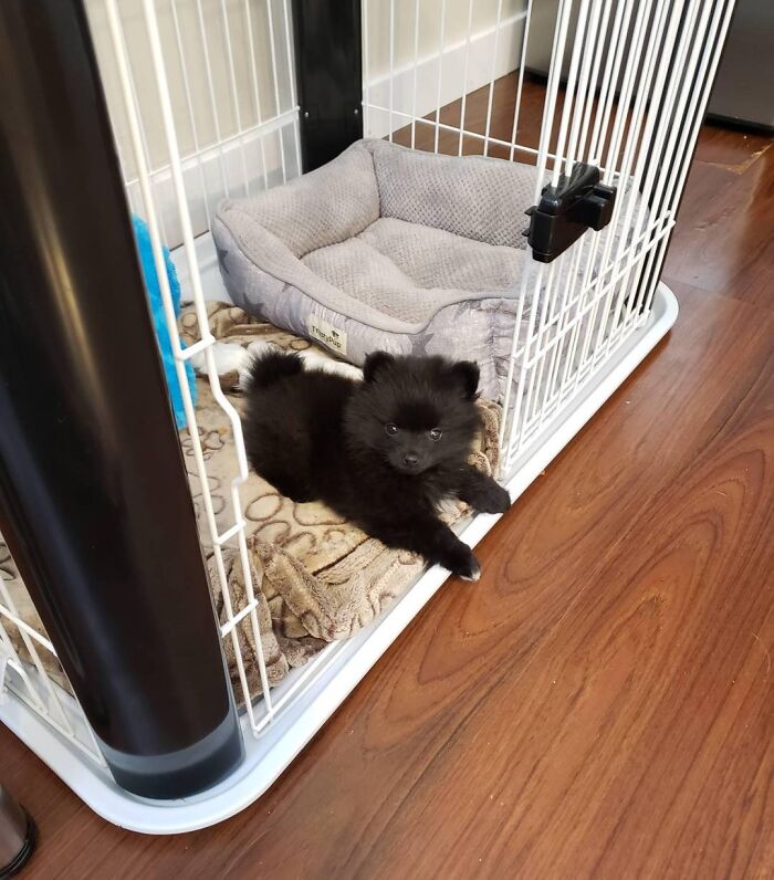 Baby Beans Is Making Herself At Home