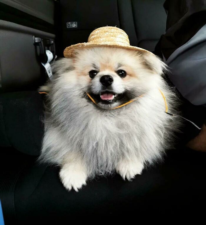 Haku In Vacation Mood