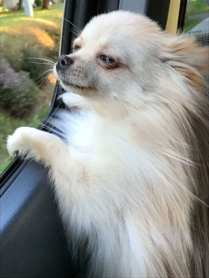 Really Vibin’ Today