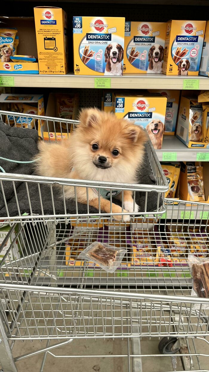 Shopping For Snacks