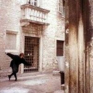 cabininthewoods4us avatar