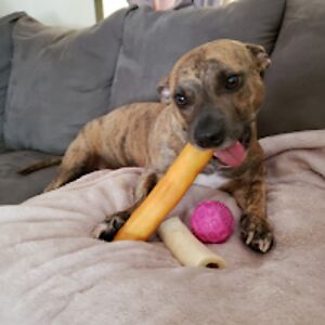 janettemccabe avatar