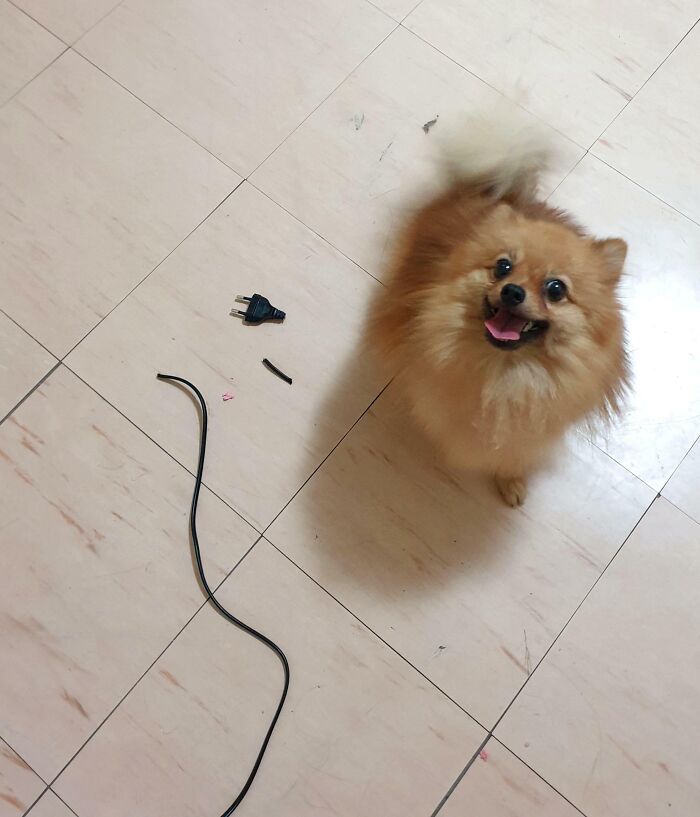 Looking Very Pleased With Himself