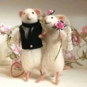 piper_eyo_stevenson avatar