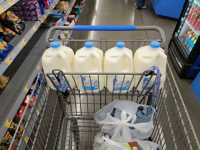 Turns Out The Kid Seat In A Walmart Cart Is Exactly 4 Gallons Wide