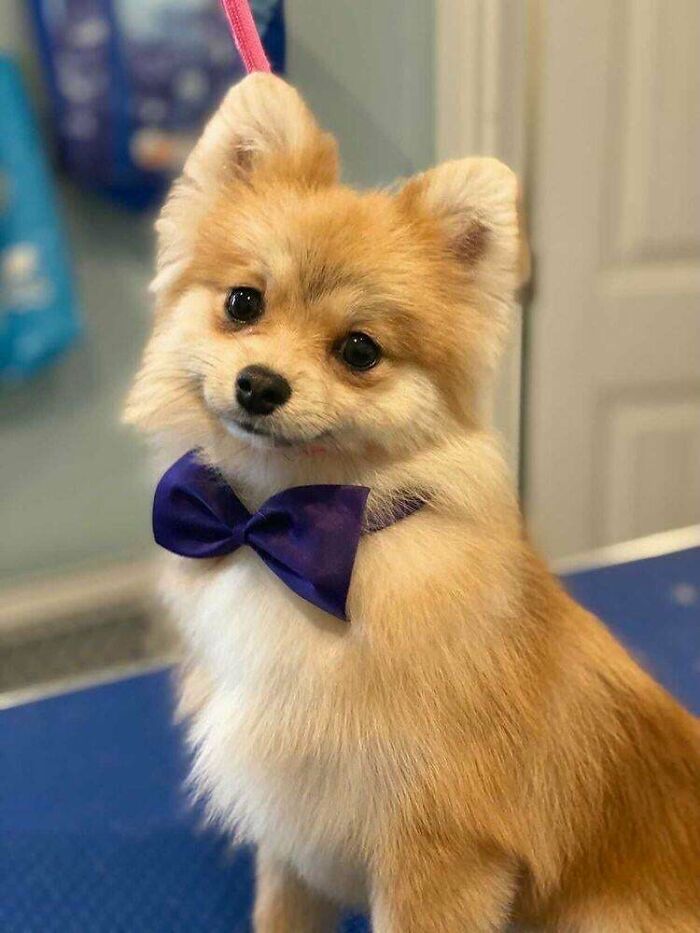 Hello Can I Interest You In Our Life Insurance Offerings?