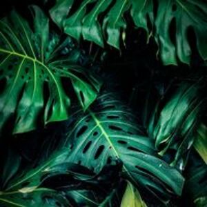 s_dautartiene avatar