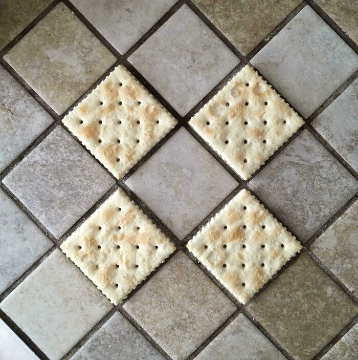 My Saltines Are The Same Size As The Tile On My Kitchen Counter