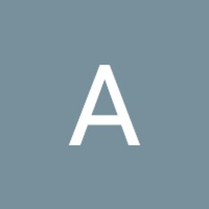 alinasseralzeyara avatar