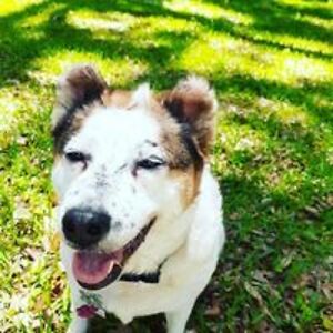 plettlarissa43 avatar