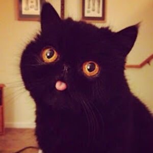 missyfinley_1 avatar