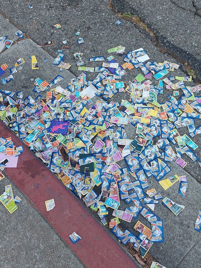 Found A Mass Grave Of Pokemon Cards At The Bus Stop