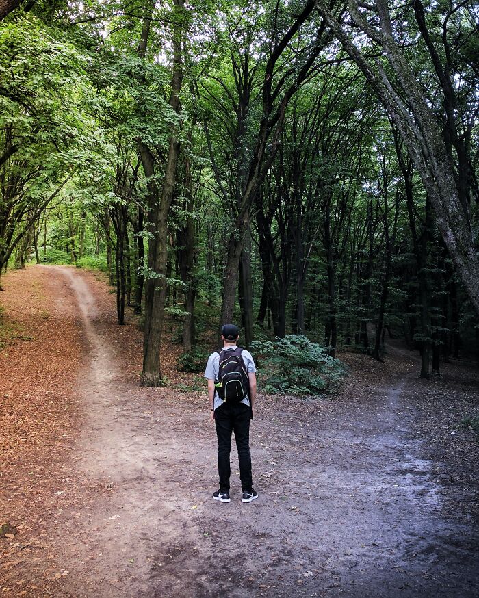 Person standing near different paths