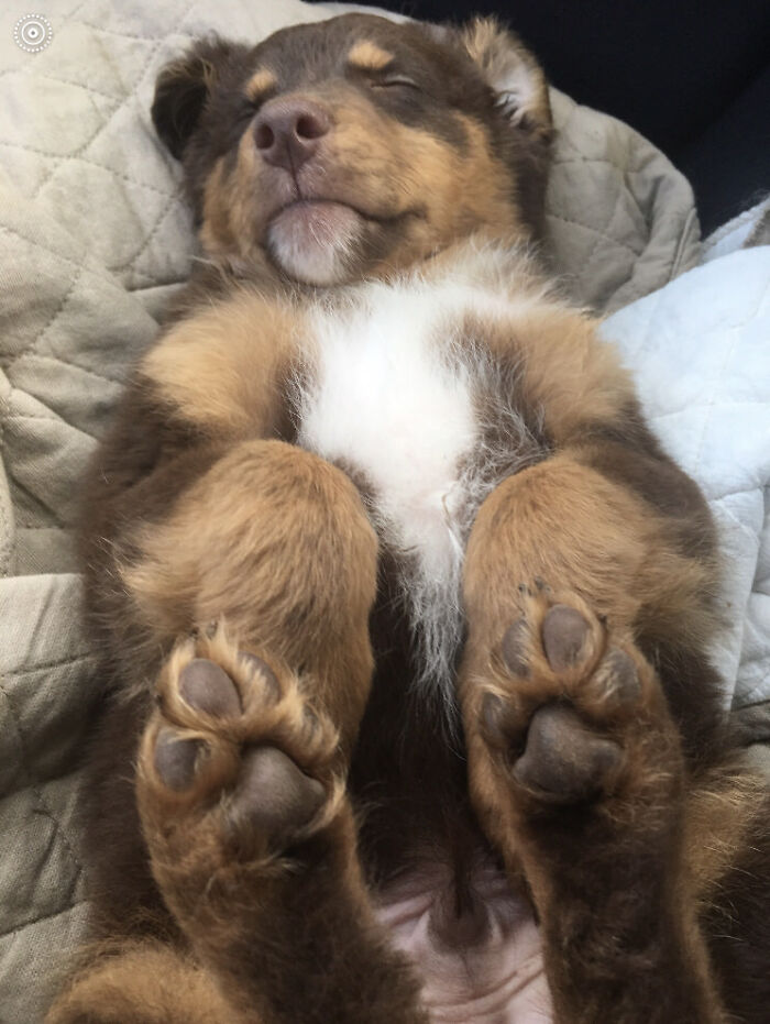 This Is Copper, Taking A Nap