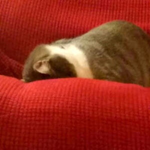 davidjones_11 avatar