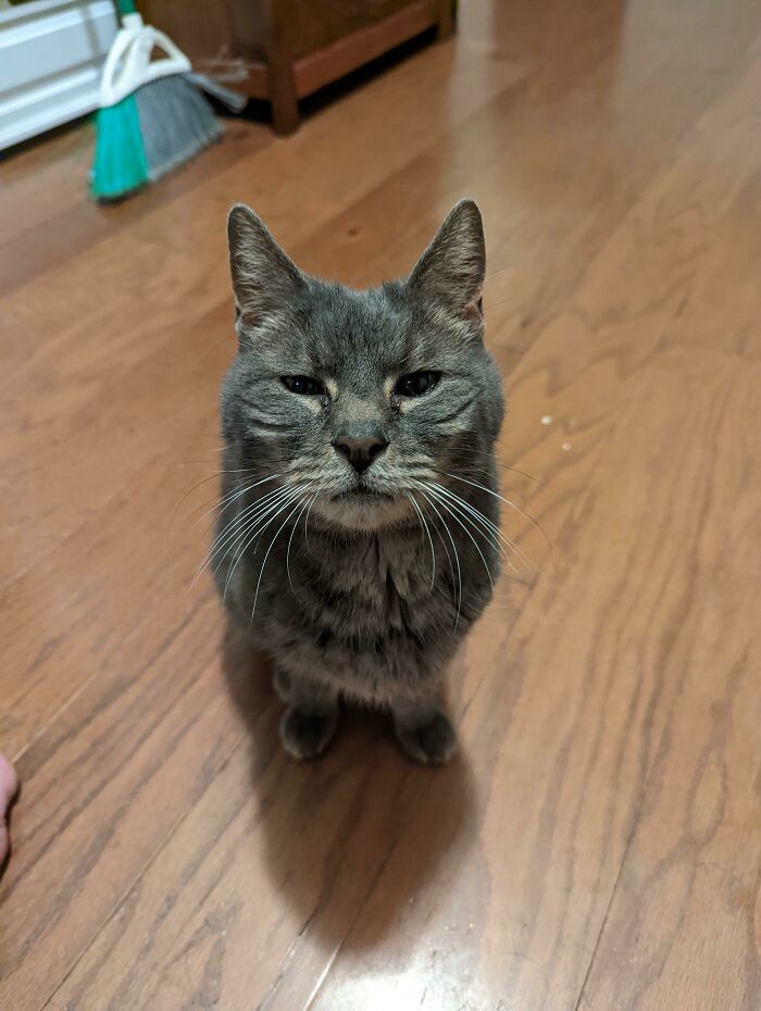 I Posted A Few Days Ago About Old Man Earl At The Shelter I Volunteer At