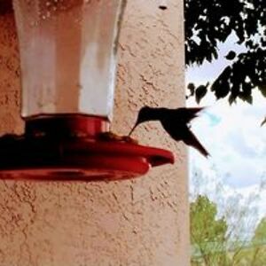 lifewithbob101 avatar