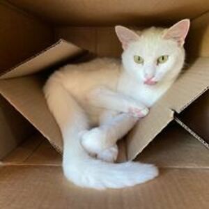 brendaganderson avatar