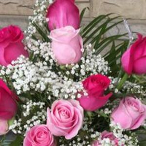 bernadette111196 avatar