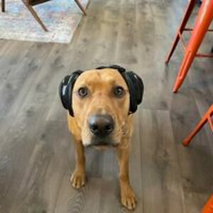 jchristianson avatar