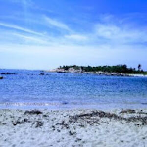 maddytimmerman avatar