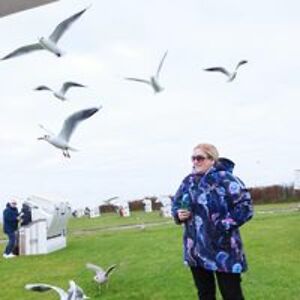 rebeccareckart1 avatar