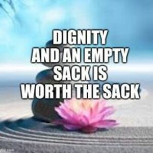 seajayreilley avatar