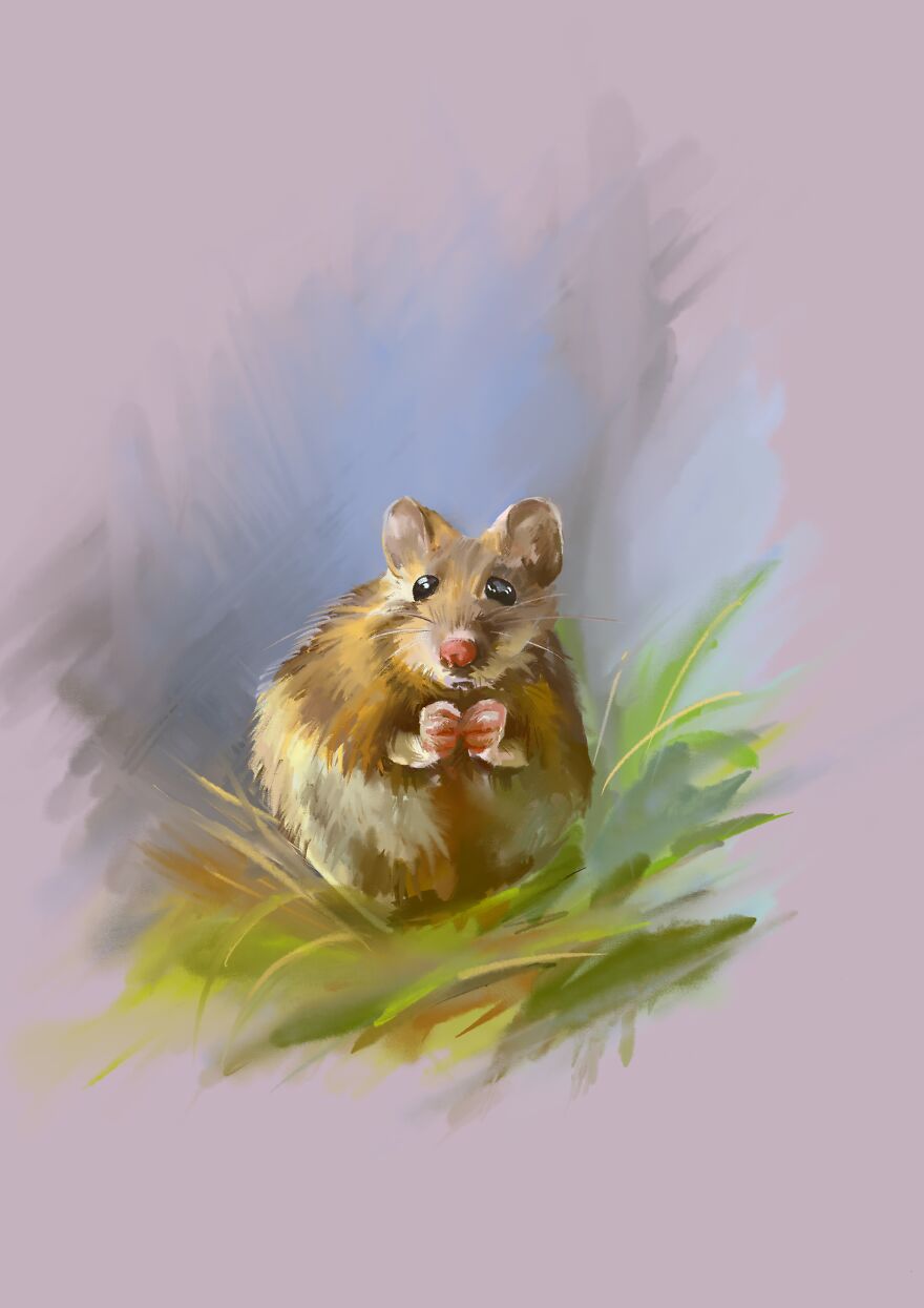 An illustration of a hamster