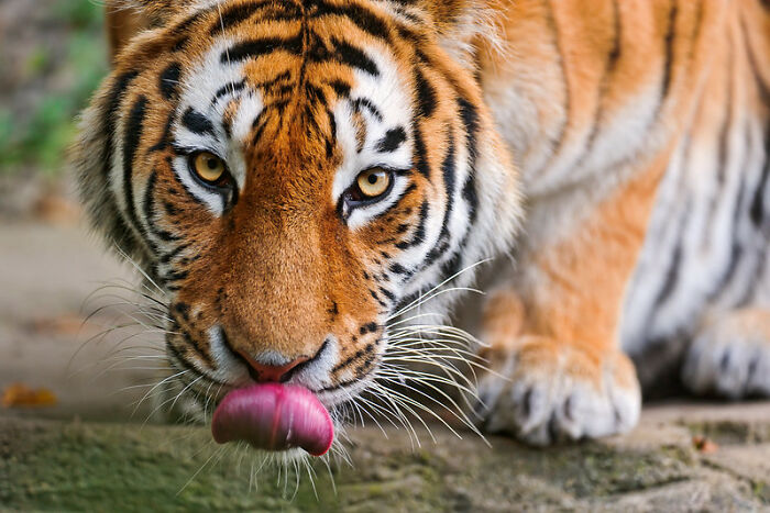 “What's Something That's Considered Normal That Creeps You Out Immediately?” (40 Answers)