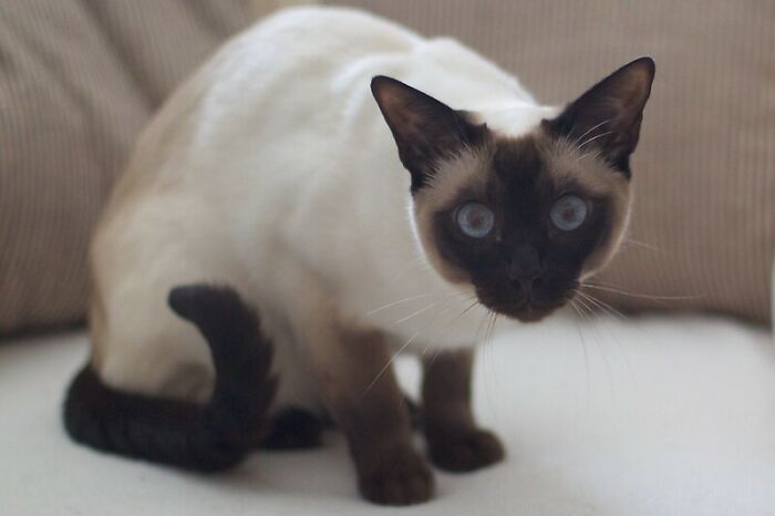 “What's Something That's Considered Normal That Creeps You Out Immediately?” (40 Answers)