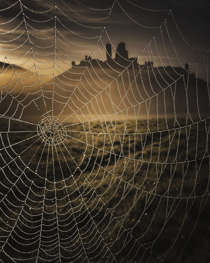 Your View Highly Commended: Rebecca Leyton, 'Corfe In A Web'