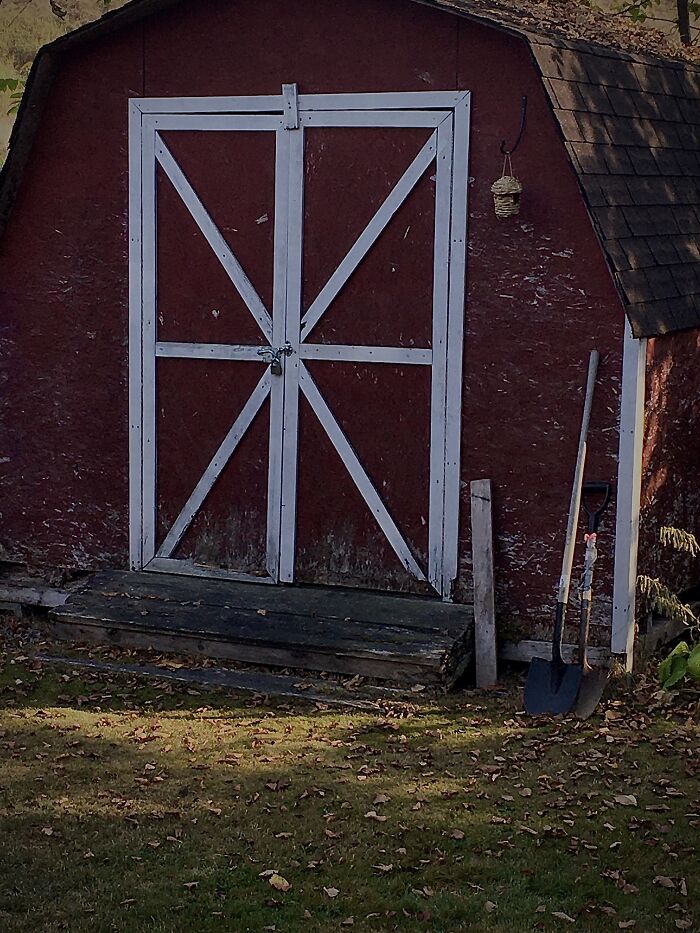 Barn In My Back Yard